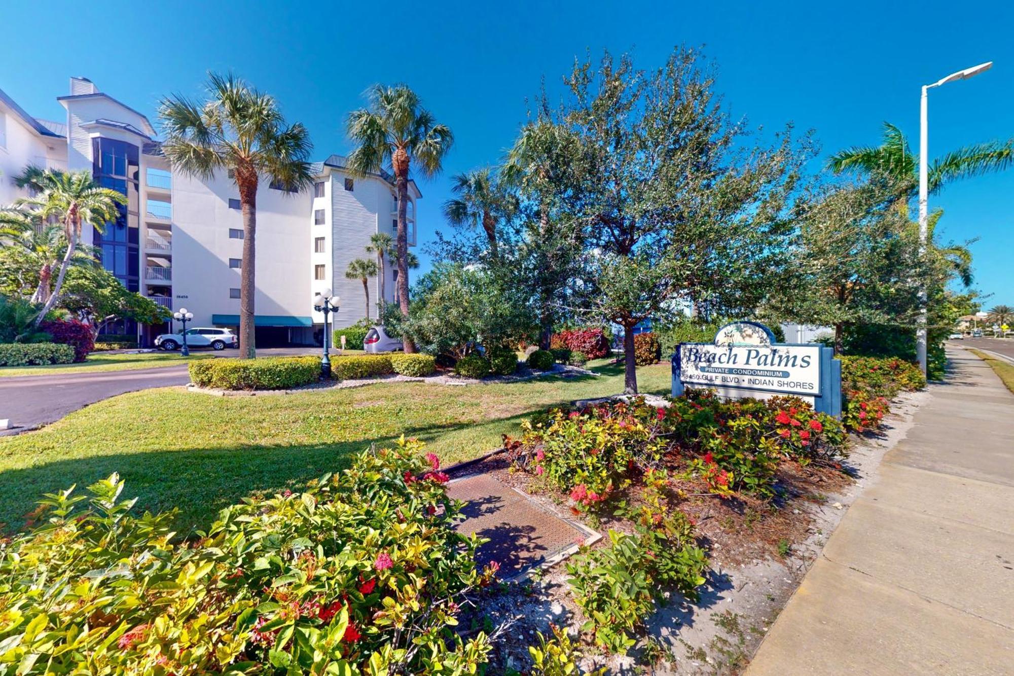 Beach Palms Clearwater Beach Camera foto